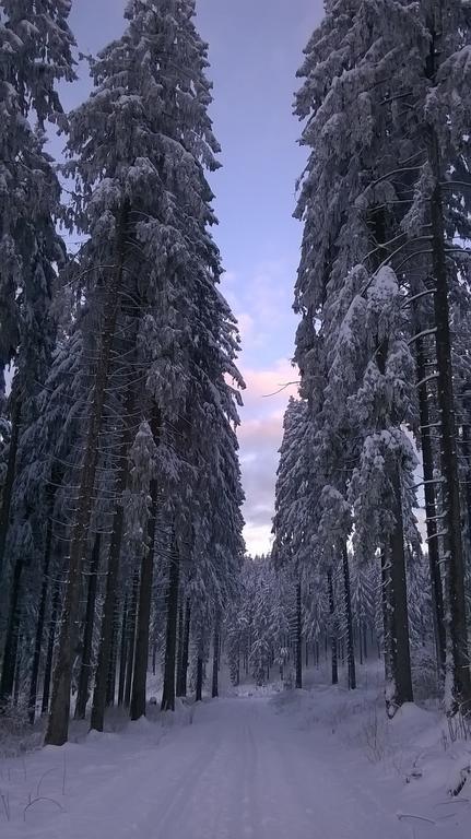 Waldpension Harzer Waldwinkel บาดกรุนด์ ภายนอก รูปภาพ