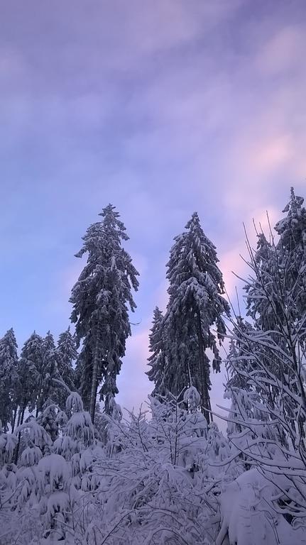 Waldpension Harzer Waldwinkel บาดกรุนด์ ภายนอก รูปภาพ