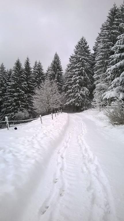 Waldpension Harzer Waldwinkel บาดกรุนด์ ภายนอก รูปภาพ