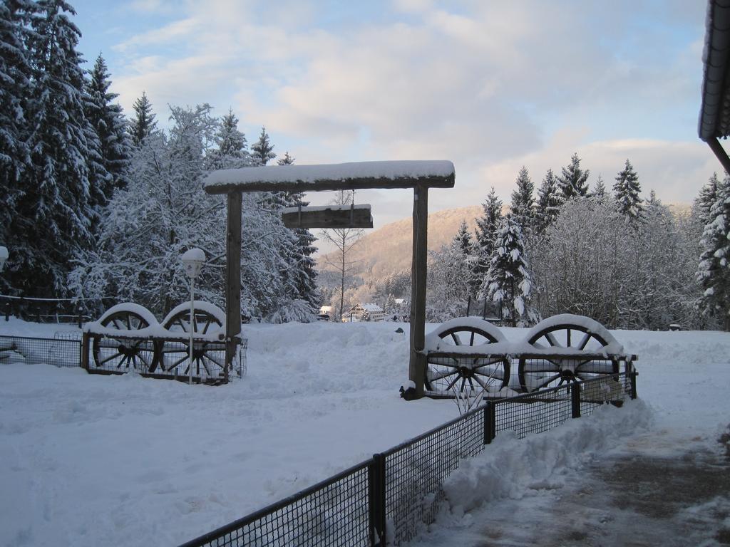 Waldpension Harzer Waldwinkel บาดกรุนด์ ภายนอก รูปภาพ