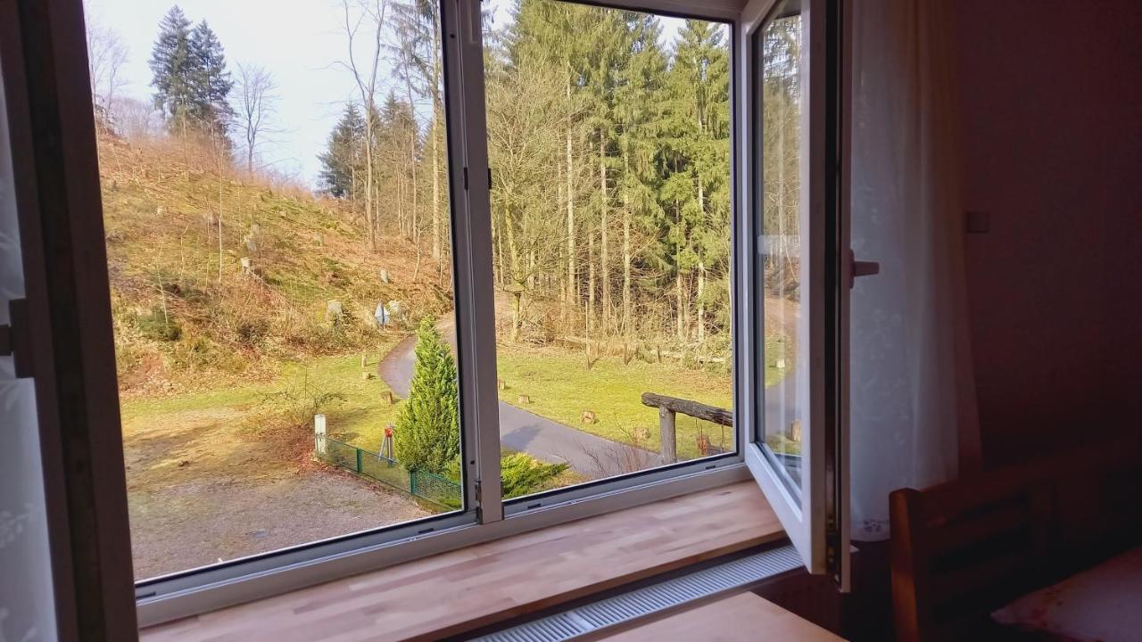 Waldpension Harzer Waldwinkel บาดกรุนด์ ภายนอก รูปภาพ