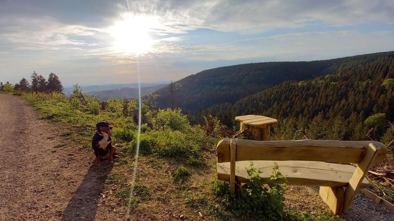 Waldpension Harzer Waldwinkel บาดกรุนด์ ภายนอก รูปภาพ